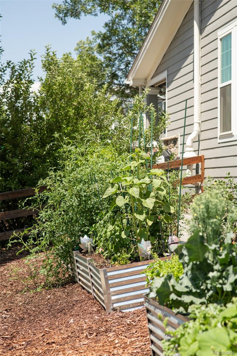 MLS Image #35 for 1155  petras street,erie, Colorado