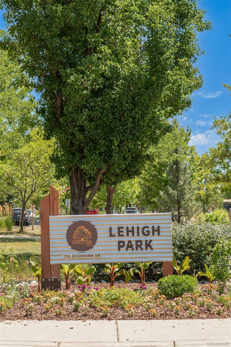 MLS Image #41 for 1155  petras street,erie, Colorado