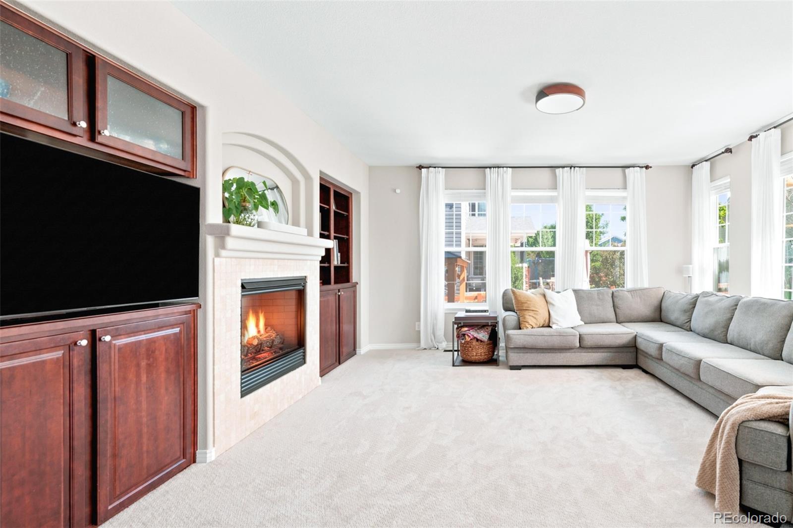 MLS Image #6 for 1155  petras street,erie, Colorado