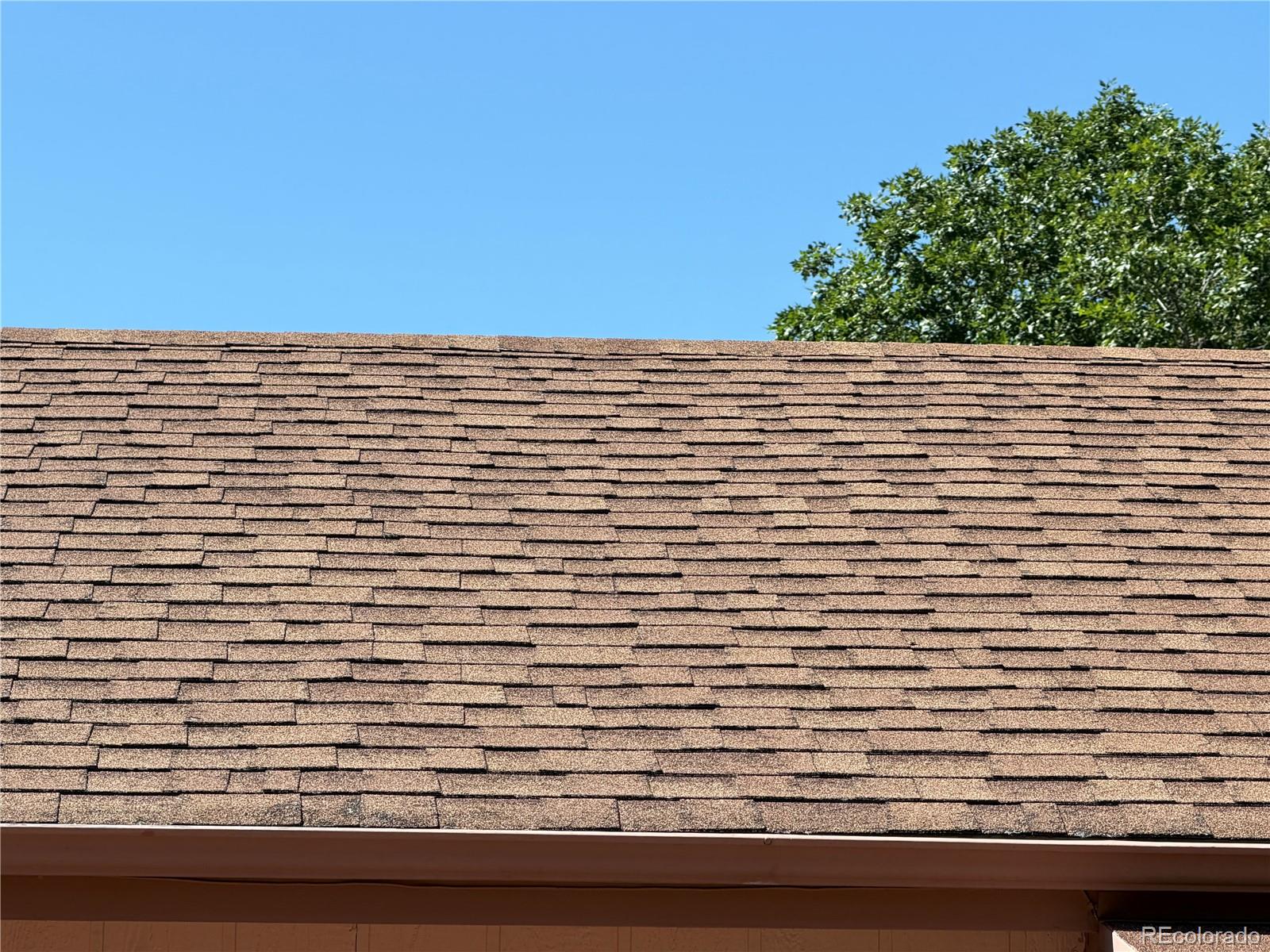 MLS Image #18 for 4650  eastcrest circle,colorado springs, Colorado