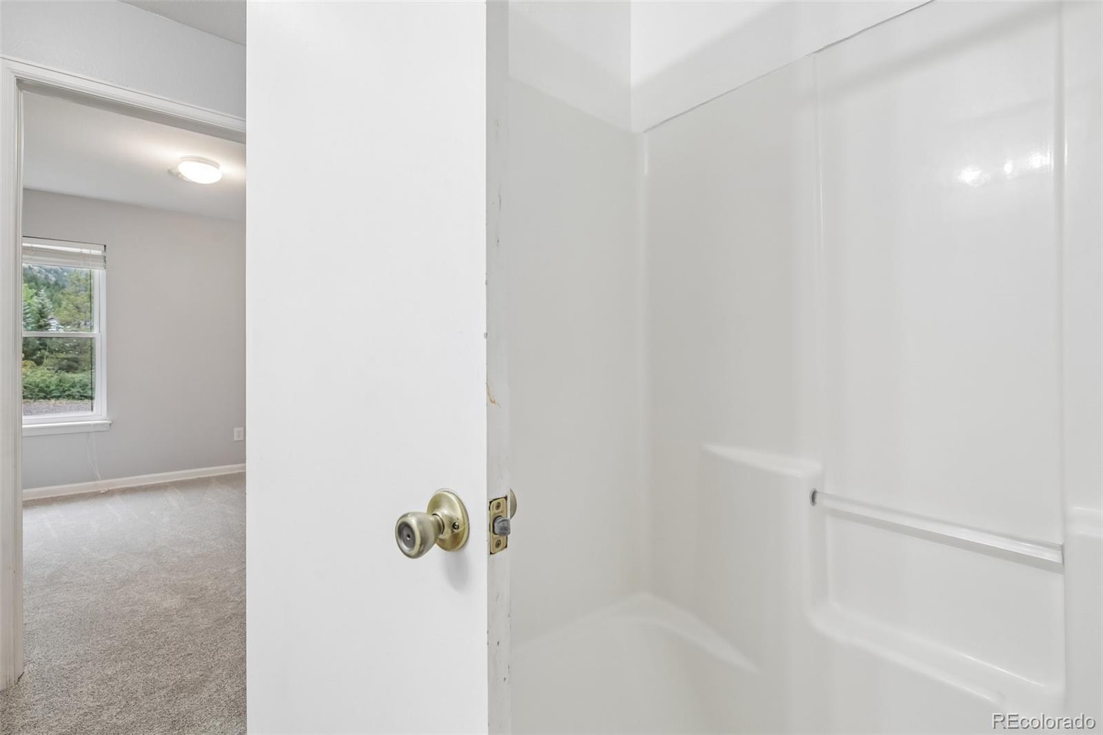MLS Image #21 for 2001  alliance drive,georgetown, Colorado