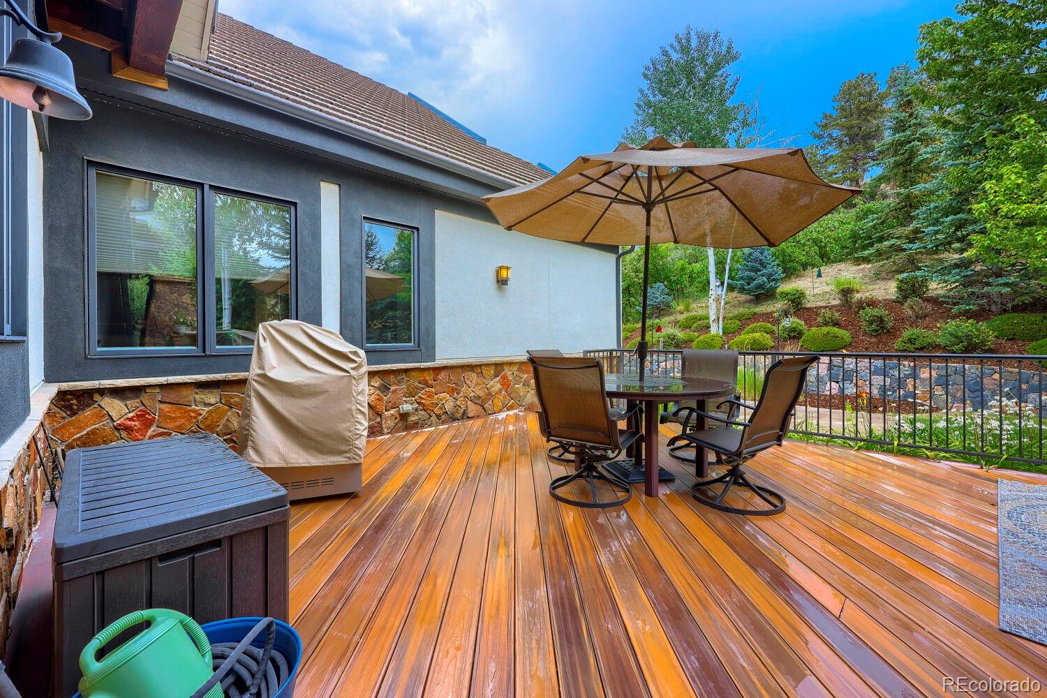 MLS Image #11 for 4820  silver pine drive,castle rock, Colorado