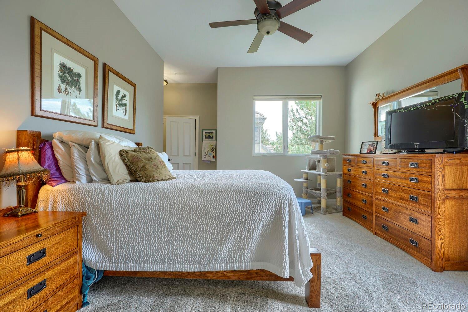 MLS Image #30 for 4820  silver pine drive,castle rock, Colorado
