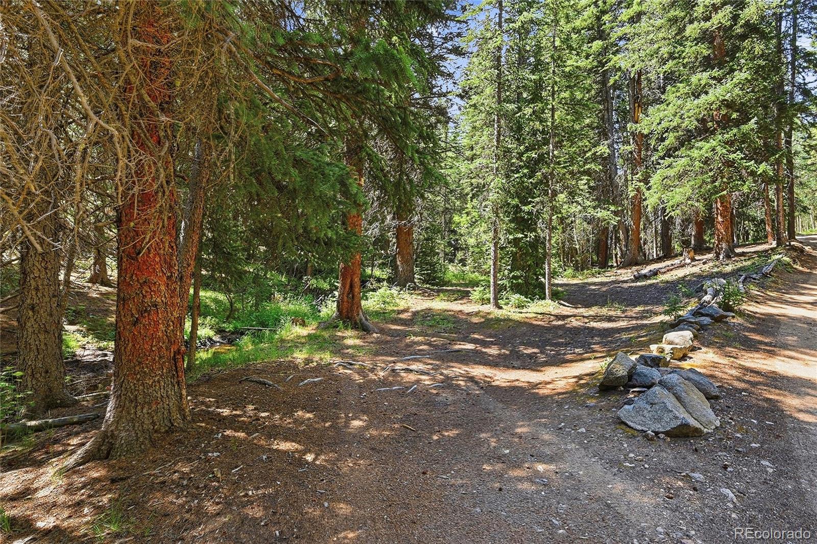 MLS Image #22 for 907  hefferman gulch road,idaho springs, Colorado