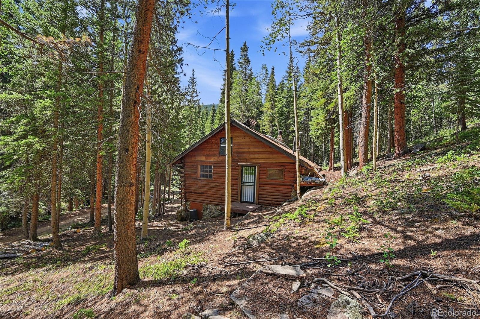 MLS Image #23 for 907  hefferman gulch road,idaho springs, Colorado