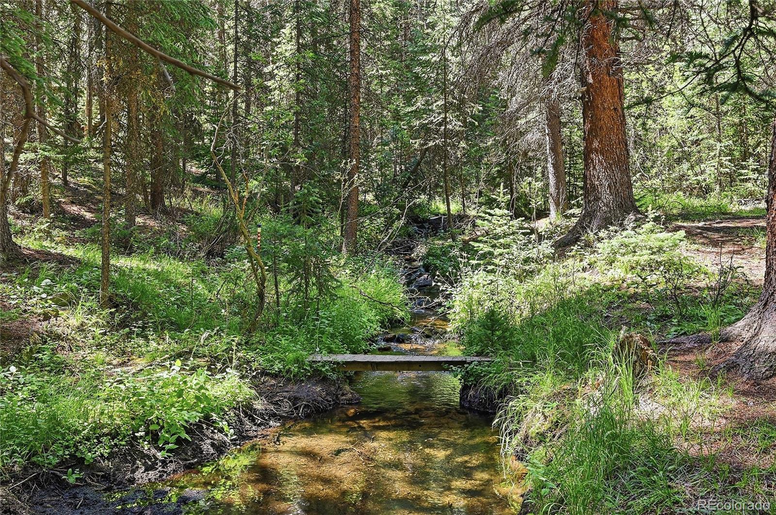 MLS Image #24 for 907  hefferman gulch road,idaho springs, Colorado