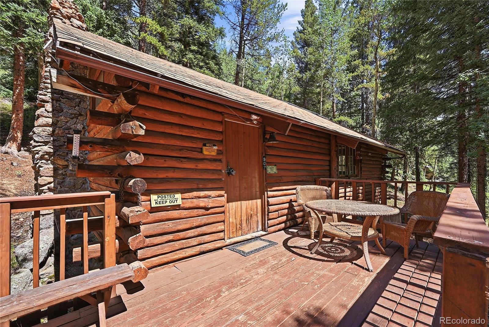 MLS Image #3 for 907  hefferman gulch road,idaho springs, Colorado
