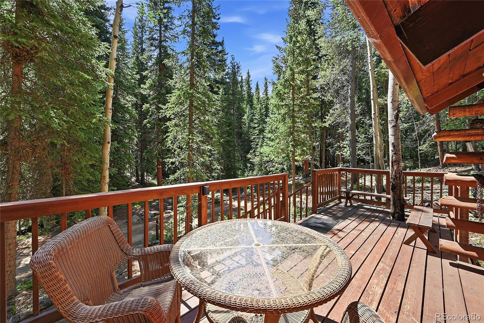 MLS Image #4 for 907  hefferman gulch road,idaho springs, Colorado