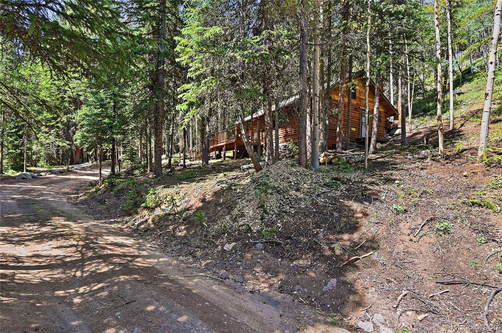 MLS Image #5 for 907  hefferman gulch road,idaho springs, Colorado