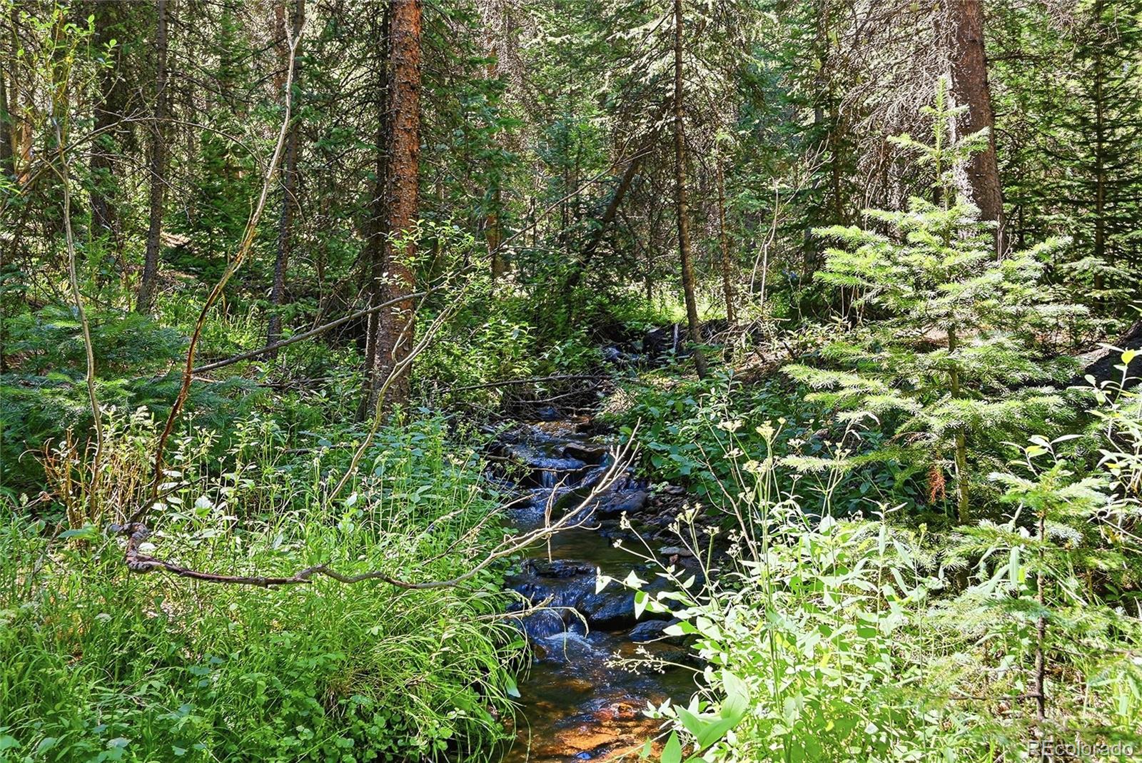 MLS Image #6 for 907  hefferman gulch road,idaho springs, Colorado