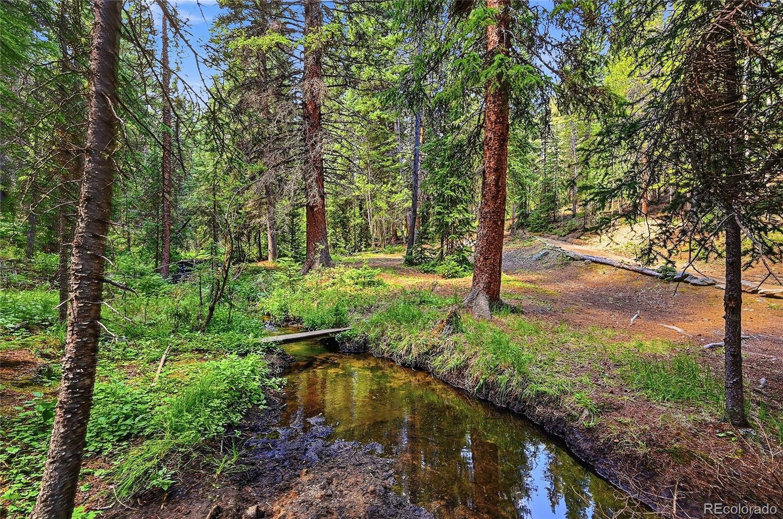 MLS Image #7 for 907  hefferman gulch road,idaho springs, Colorado