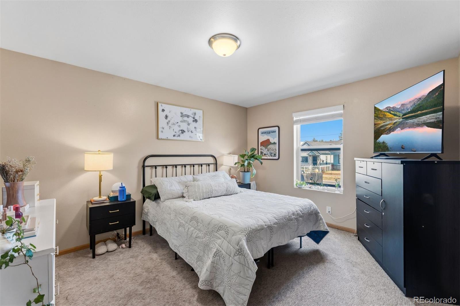 MLS Image #19 for 101 s maple street,leadville, Colorado