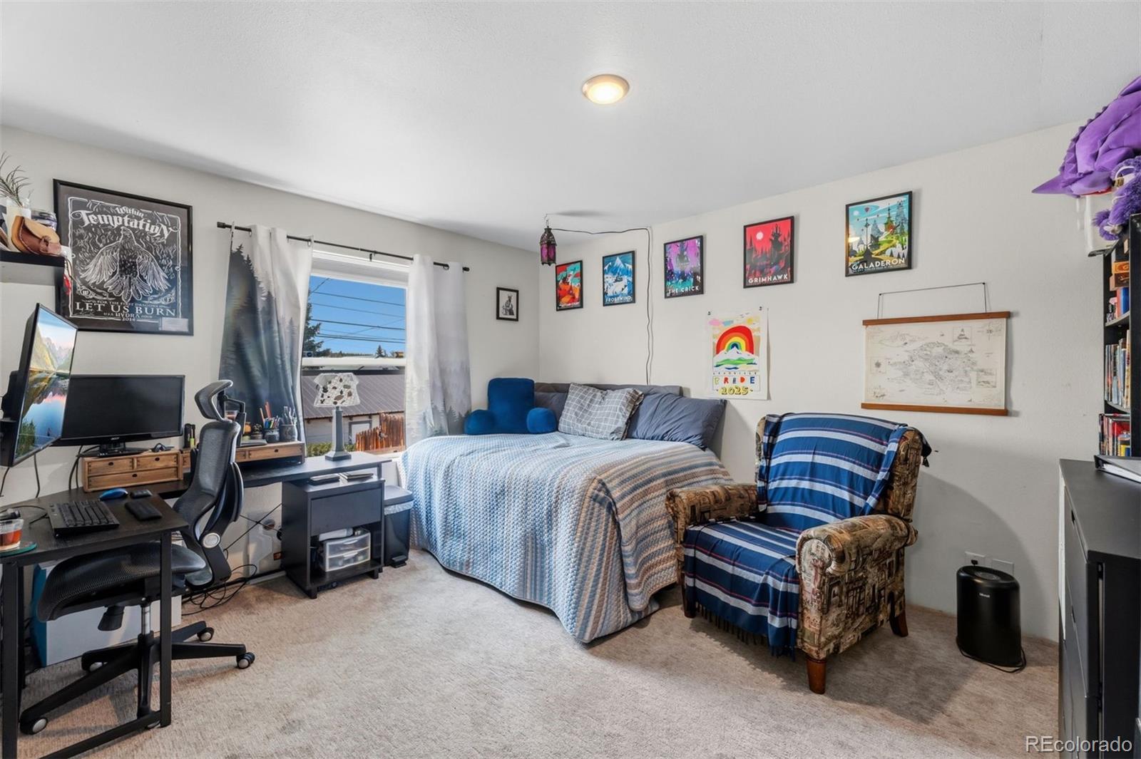 MLS Image #21 for 101 s maple street,leadville, Colorado