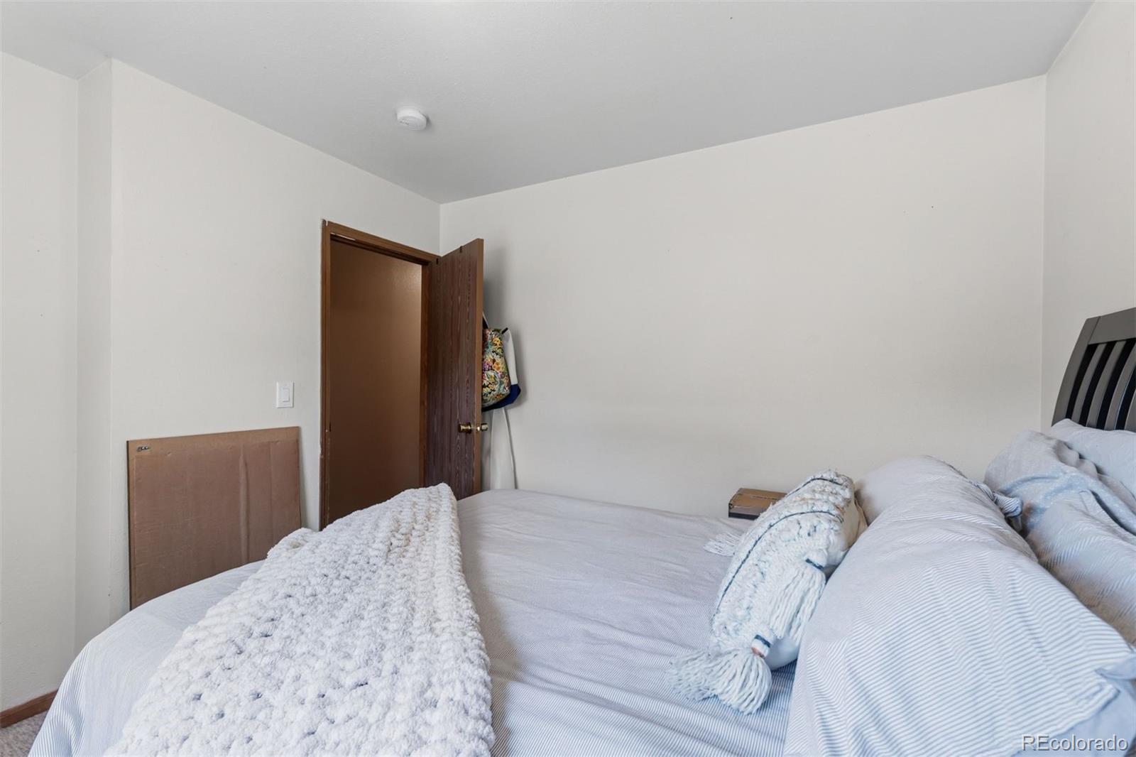 MLS Image #32 for 101 s maple street,leadville, Colorado