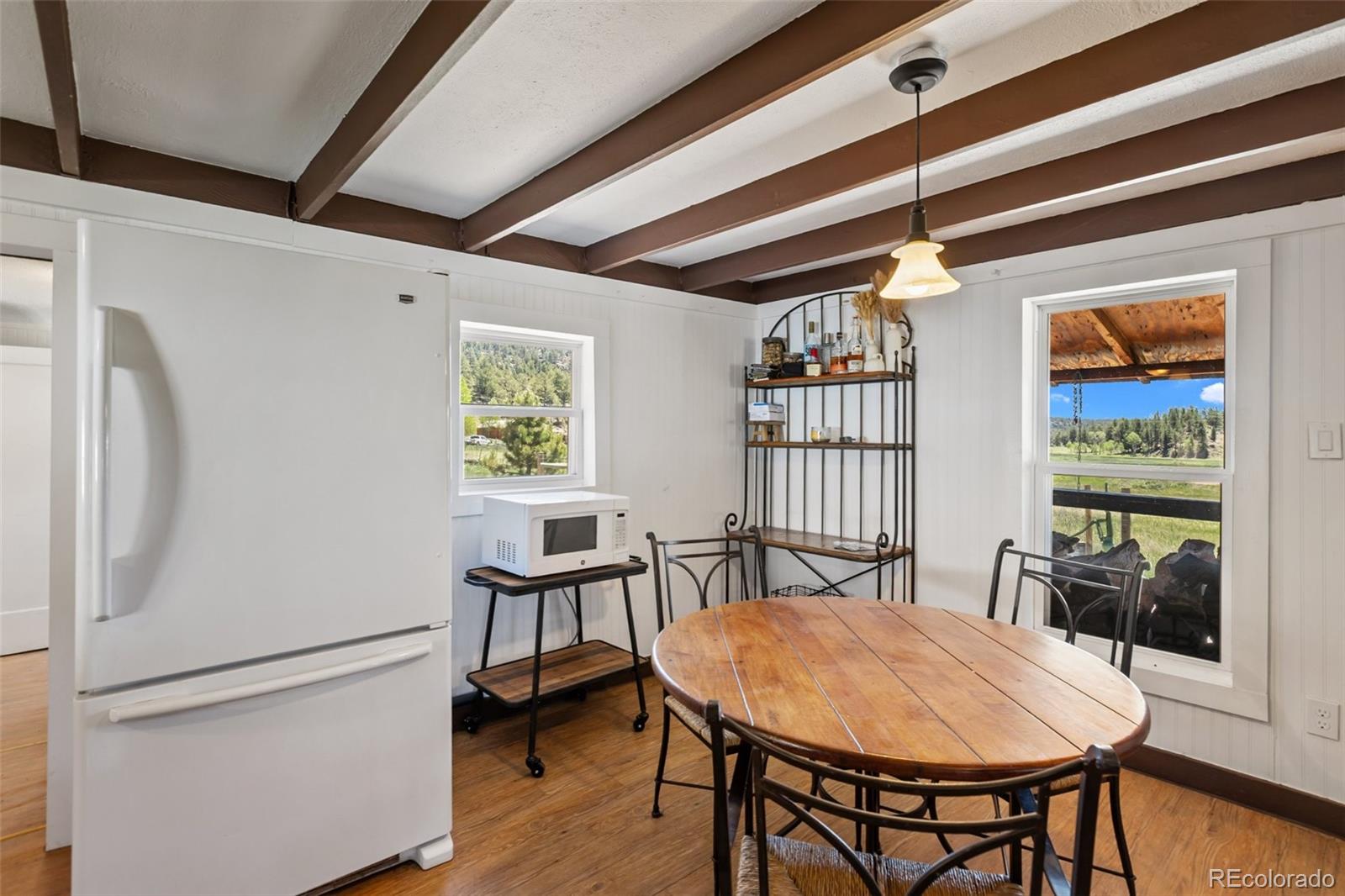 MLS Image #14 for 185  canyon drive,florissant, Colorado