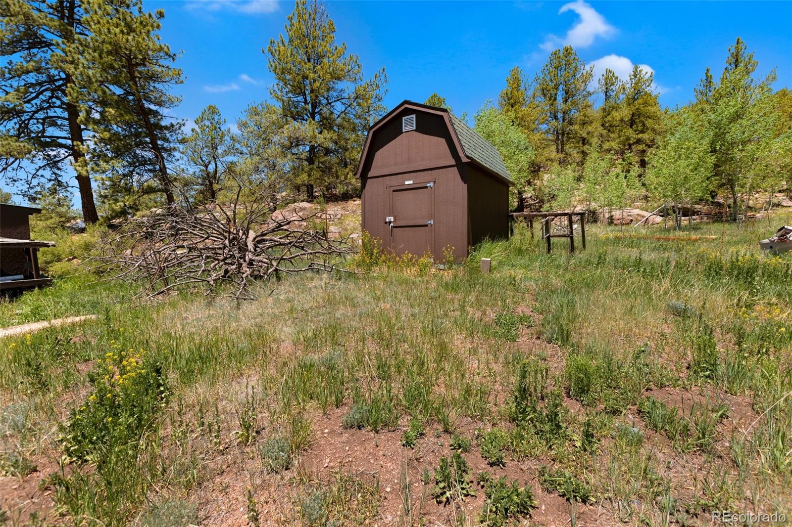 MLS Image #28 for 185  canyon drive,florissant, Colorado