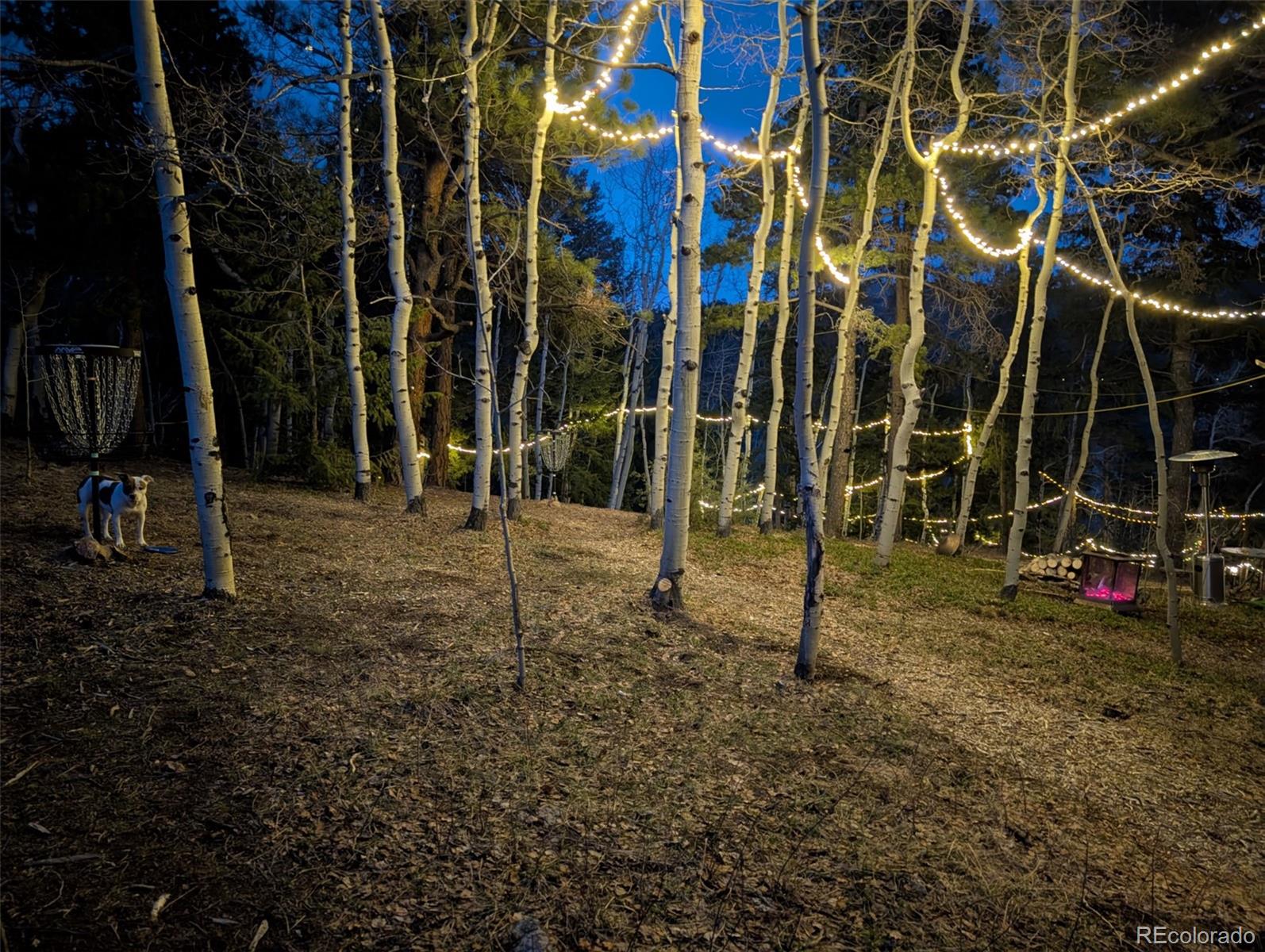 MLS Image #23 for 1296  golden gate drive,golden, Colorado