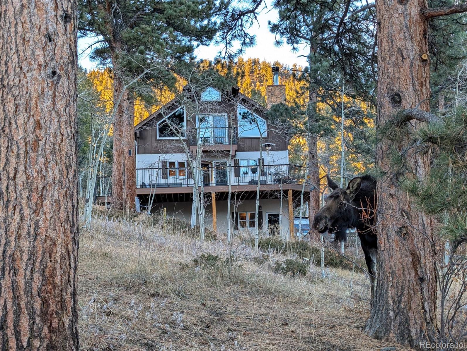 MLS Image #28 for 1296  golden gate drive,golden, Colorado