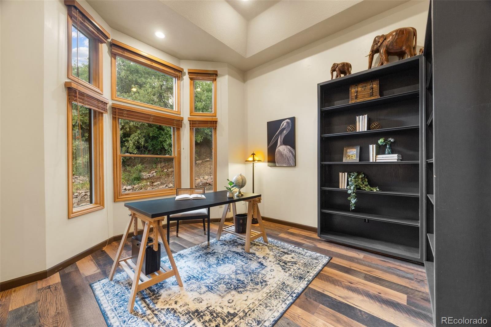 MLS Image #5 for 10561  raven run,littleton, Colorado