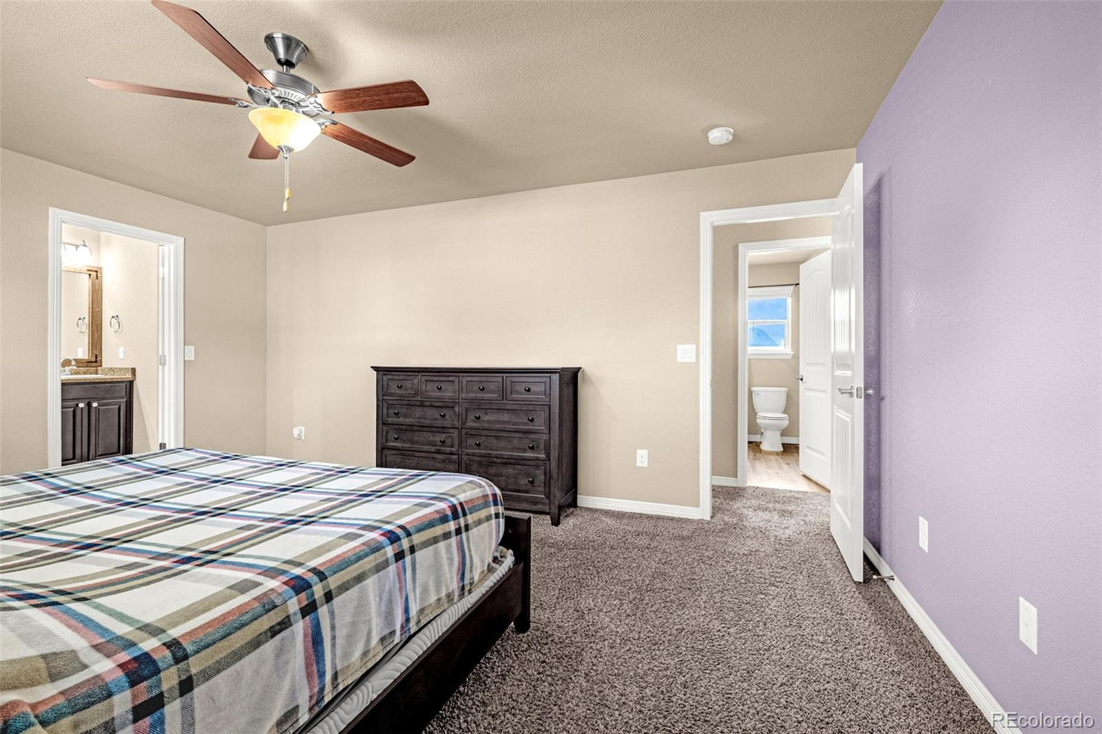 MLS Image #17 for 10924  nolin drive,colorado springs, Colorado