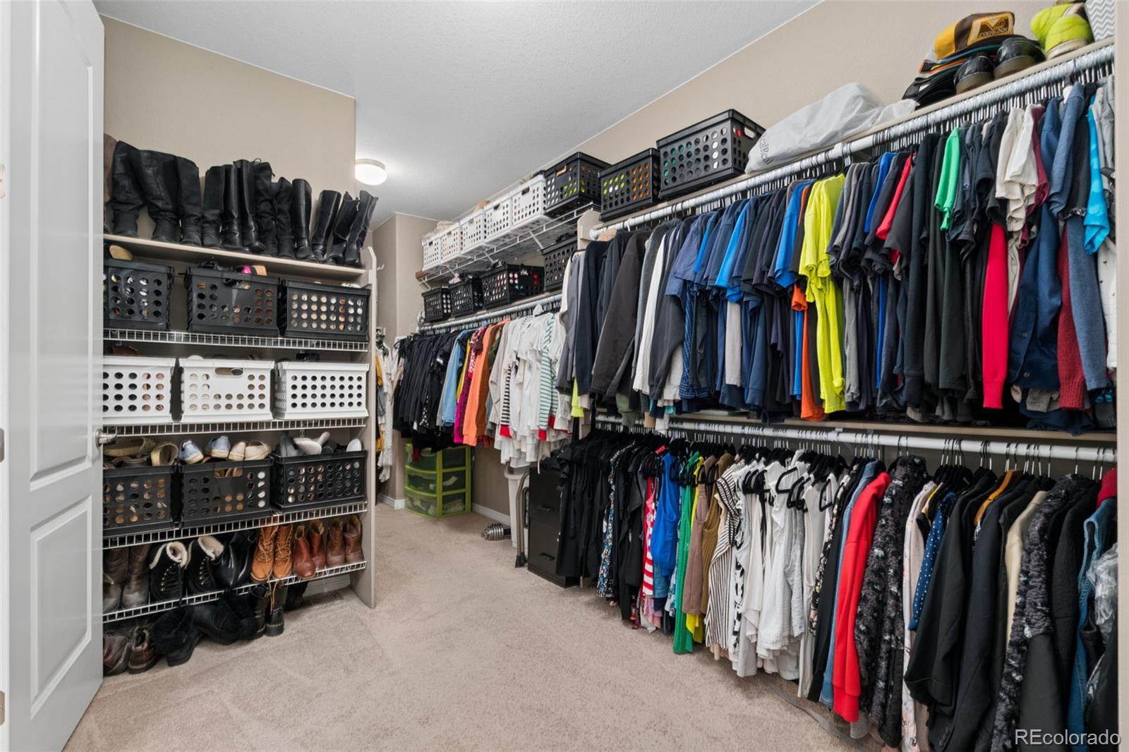 MLS Image #17 for 3345  mourning dove court,longmont, Colorado