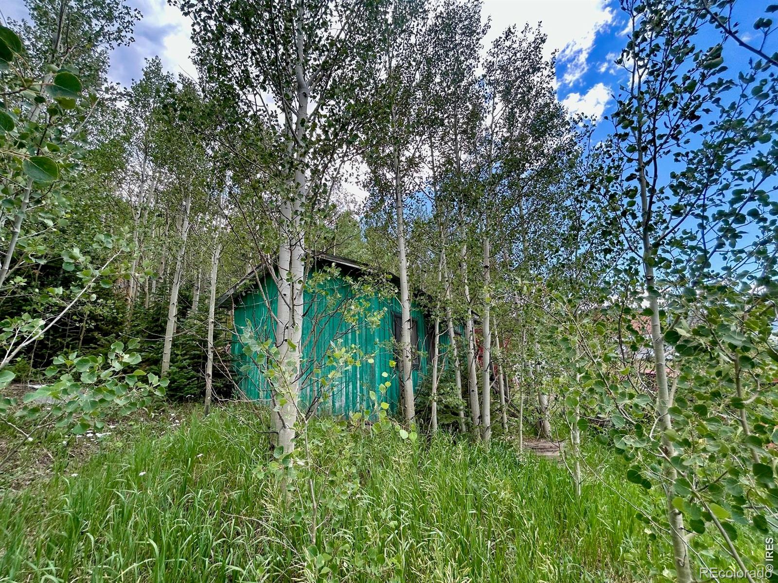 MLS Image #10 for 5004  tolland road,rollinsville, Colorado