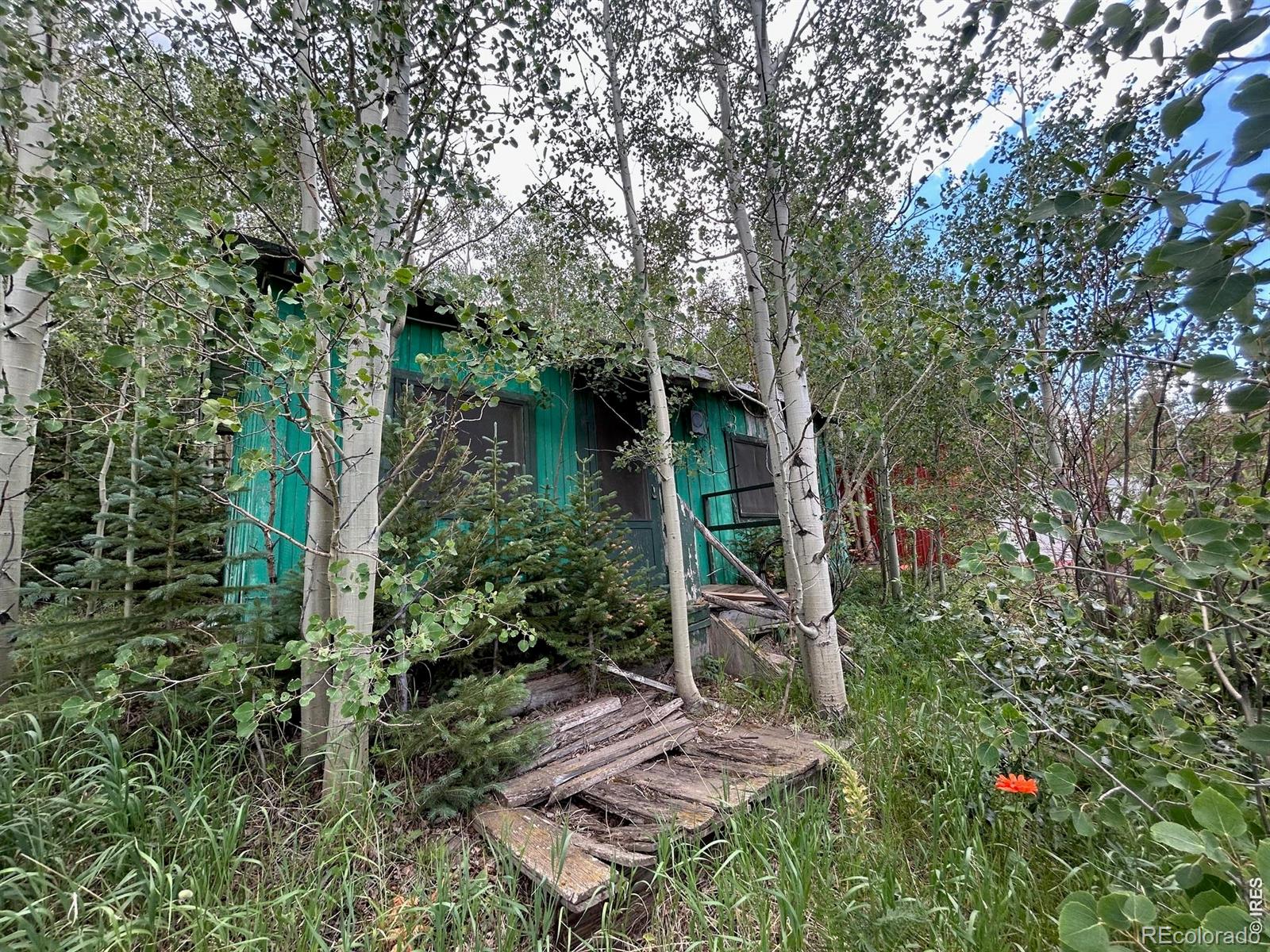 MLS Image #4 for 5004  tolland road,rollinsville, Colorado