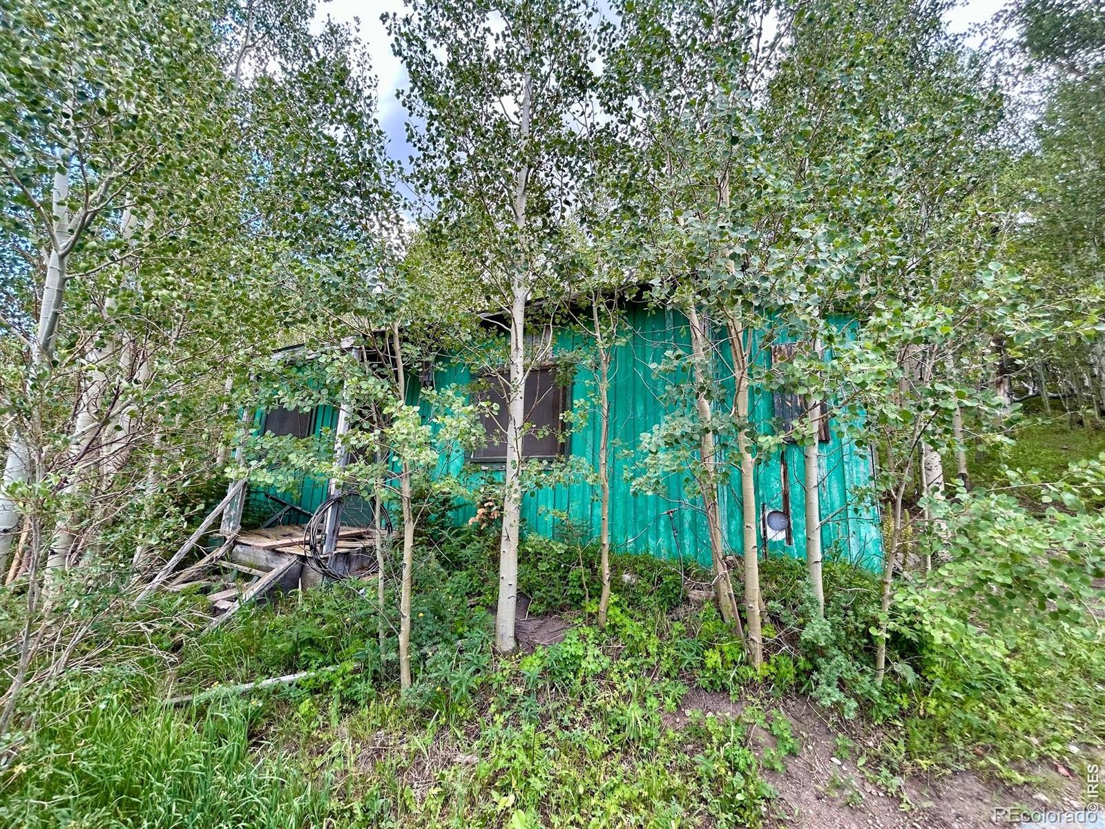 MLS Image #5 for 5004  tolland road,rollinsville, Colorado