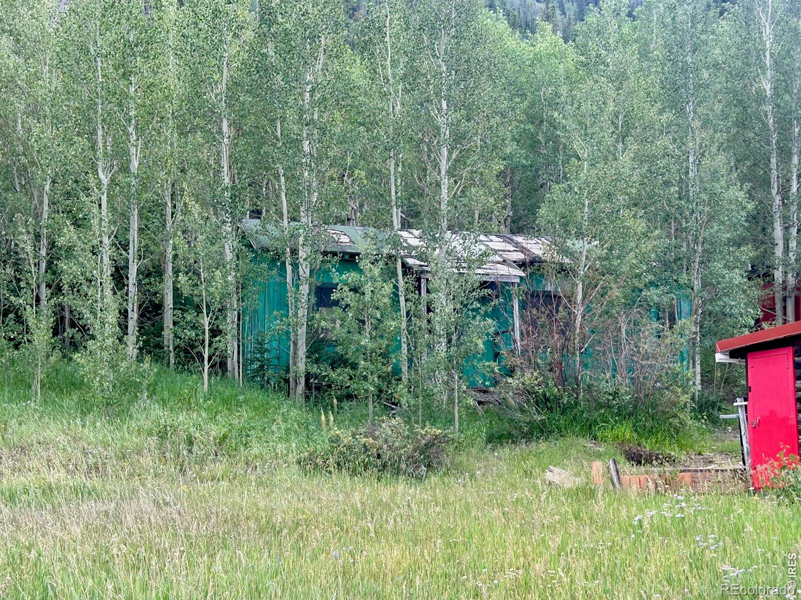 MLS Image #6 for 5004  tolland road,rollinsville, Colorado
