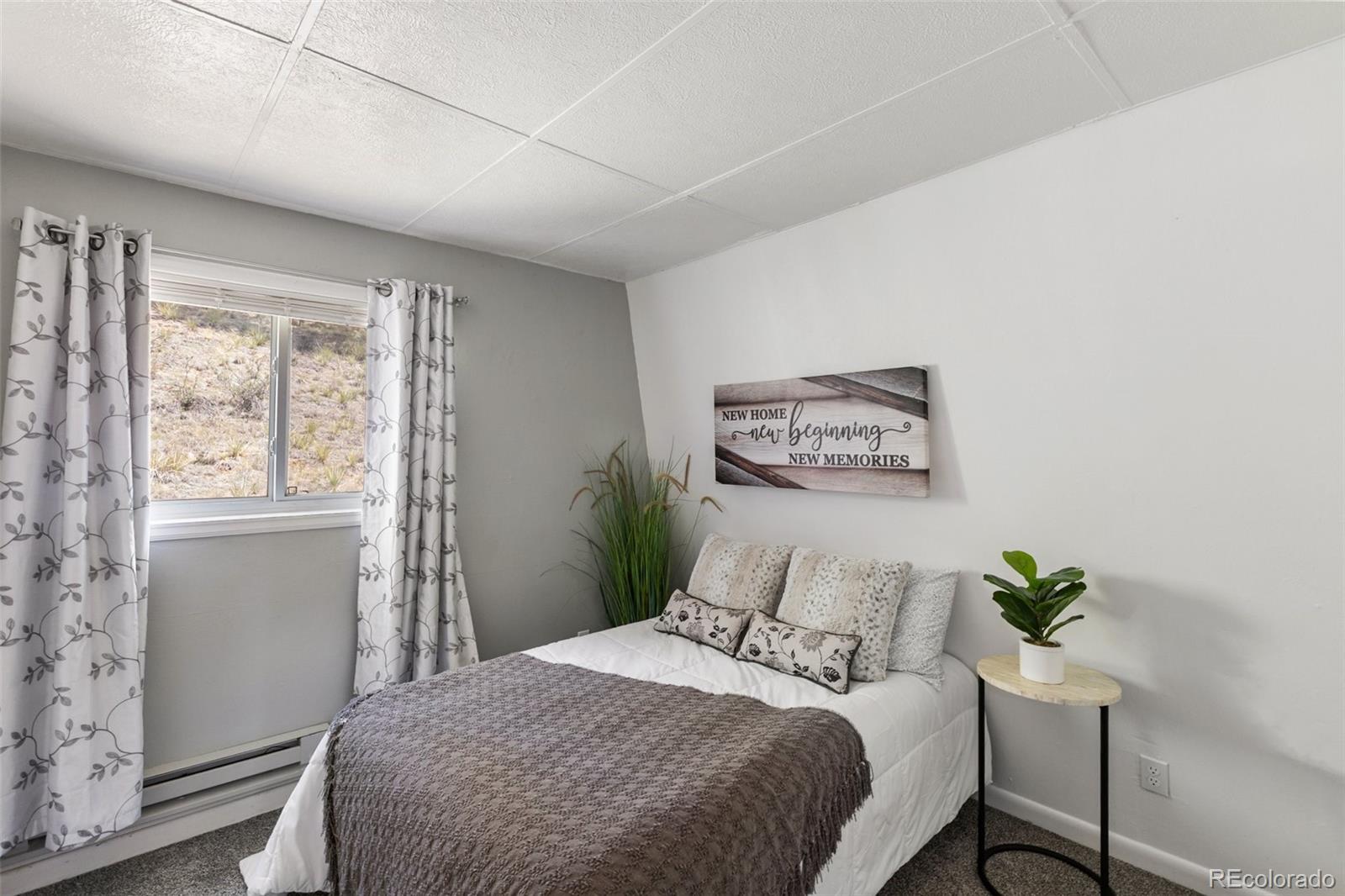 MLS Image #16 for 301  circle drive,florissant, Colorado
