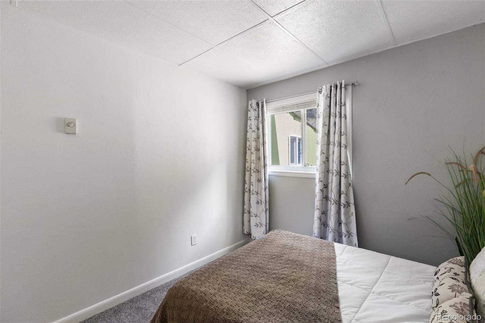 MLS Image #18 for 301  circle drive,florissant, Colorado
