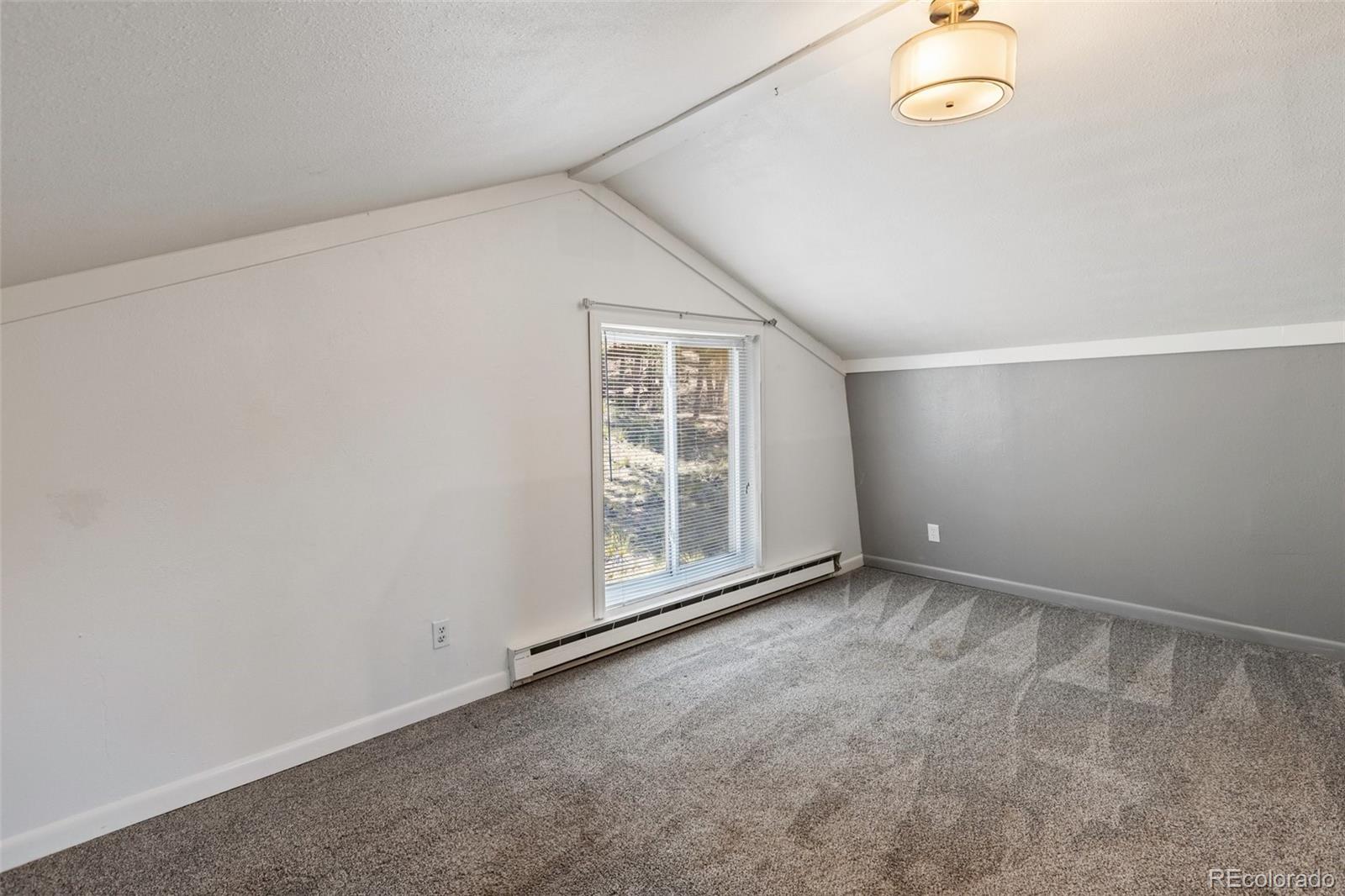 MLS Image #22 for 301  circle drive,florissant, Colorado