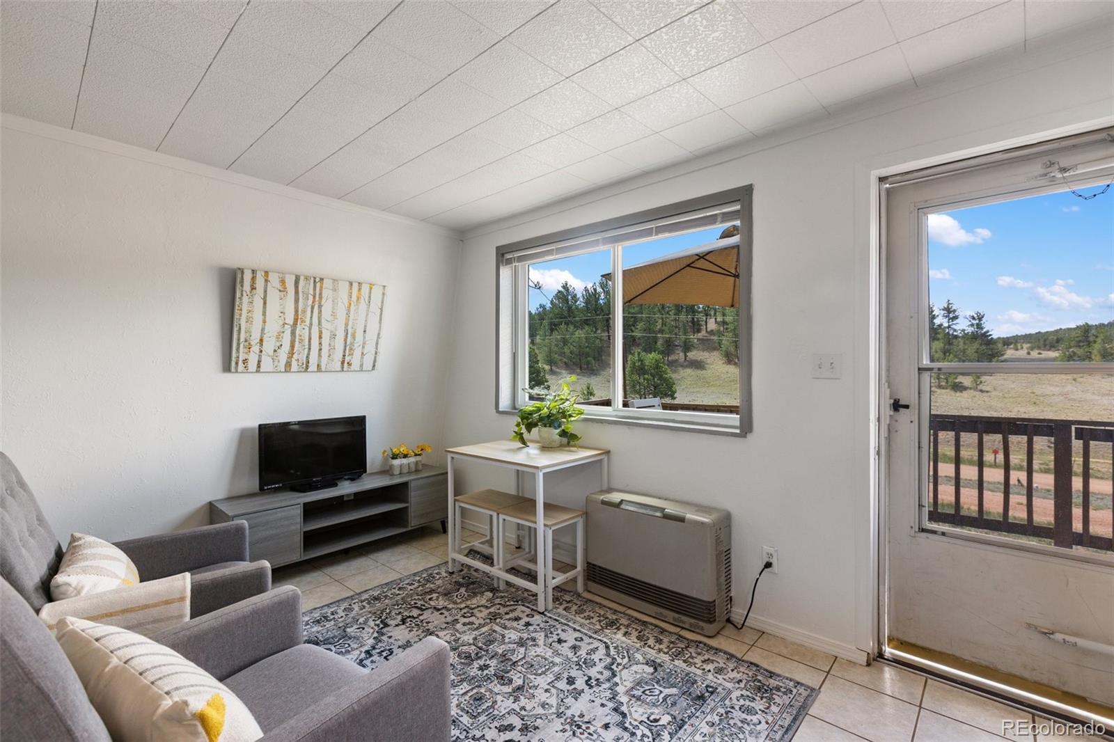 MLS Image #3 for 301  circle drive,florissant, Colorado