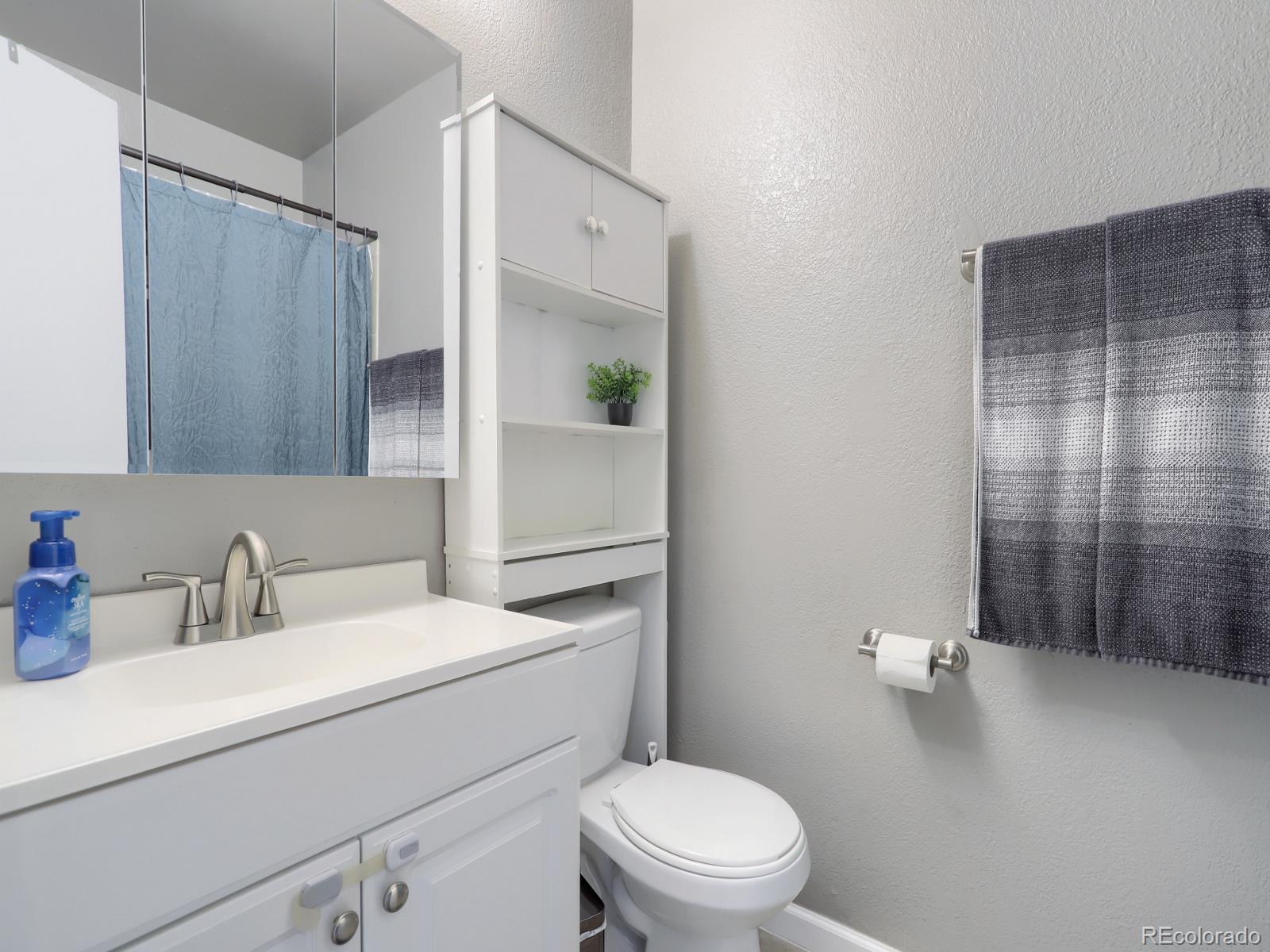 MLS Image #12 for 5431 s delaware street ,littleton, Colorado