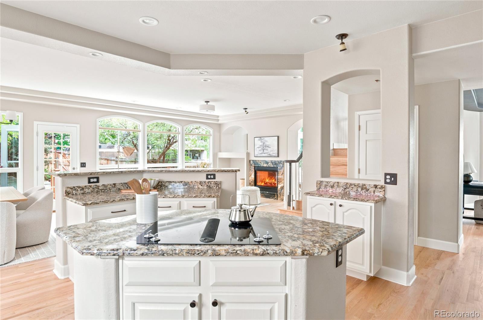MLS Image #15 for 424  canyon point circle,golden, Colorado