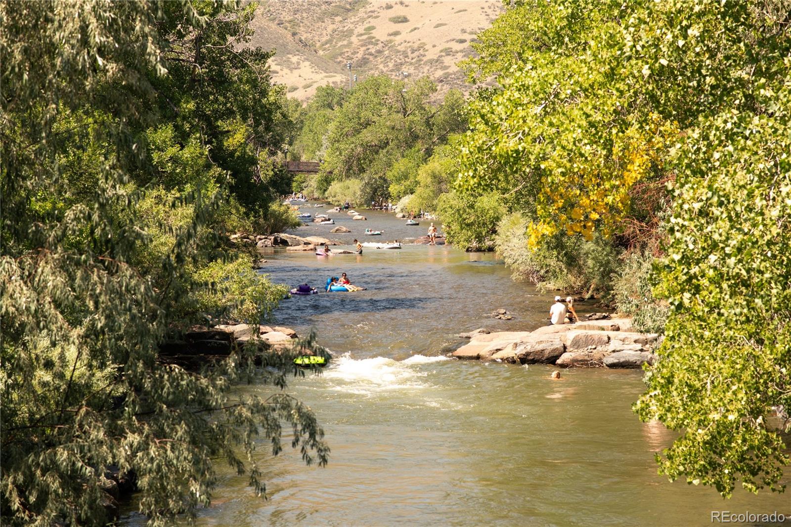 MLS Image #49 for 424  canyon point circle,golden, Colorado