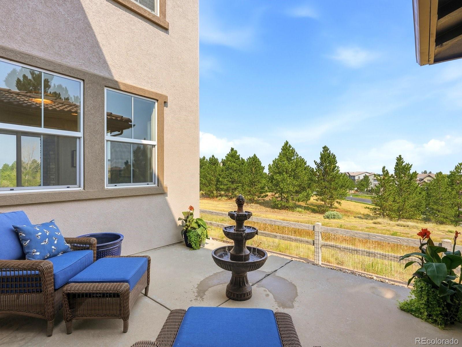 MLS Image #13 for 10523  morningdew court,highlands ranch, Colorado