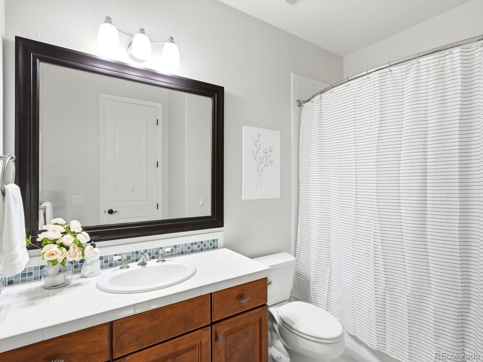 MLS Image #15 for 10523  morningdew court,highlands ranch, Colorado