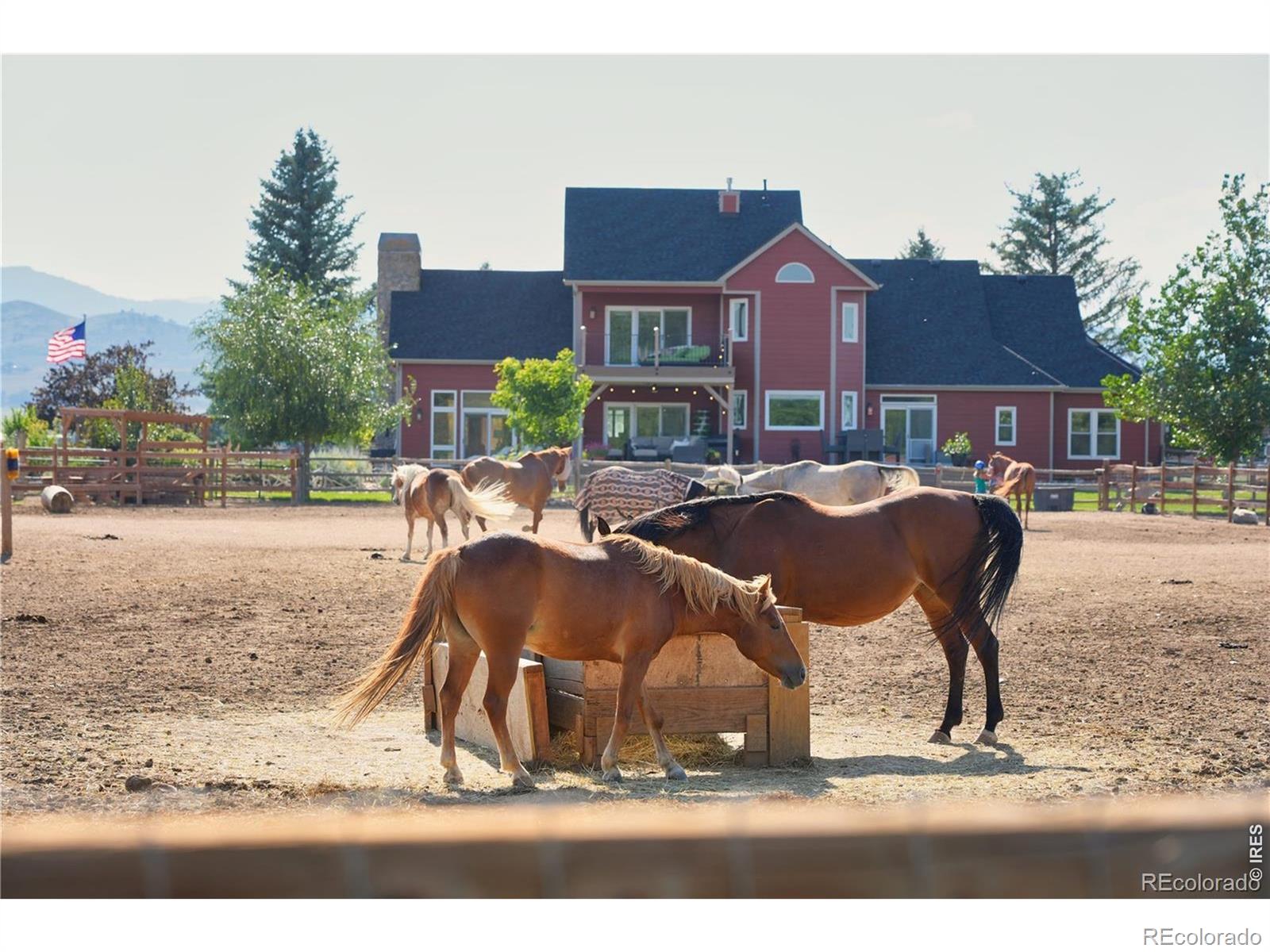 MLS Image #39 for 4718  lonetree drive,loveland, Colorado