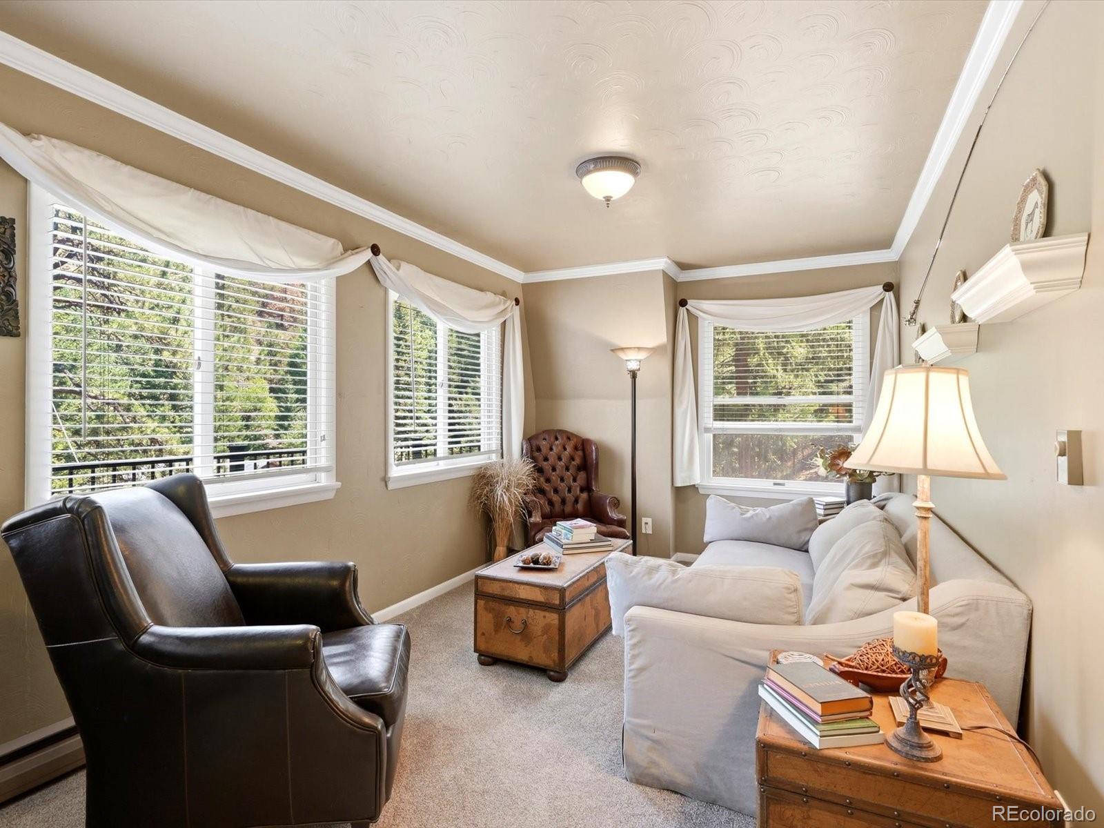 MLS Image #13 for 410 e idaho springs road,idaho springs, Colorado