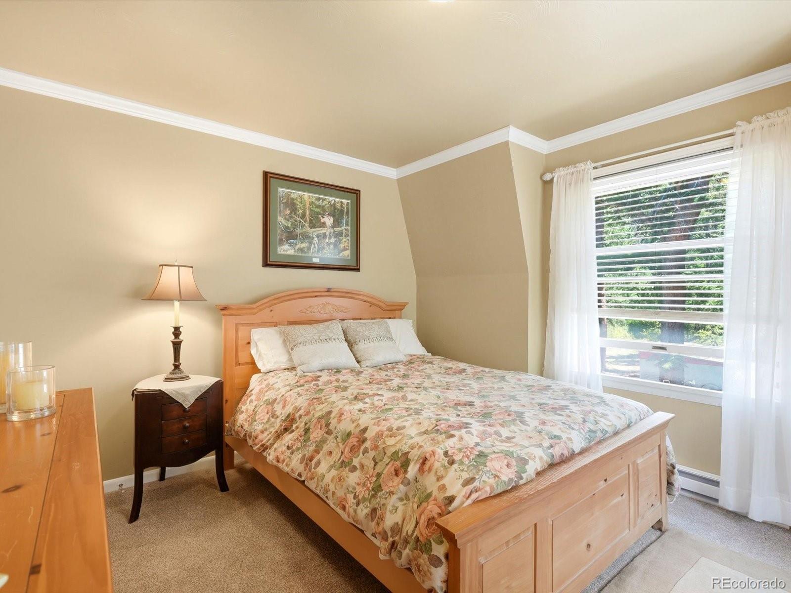 MLS Image #15 for 410 e idaho springs road,idaho springs, Colorado