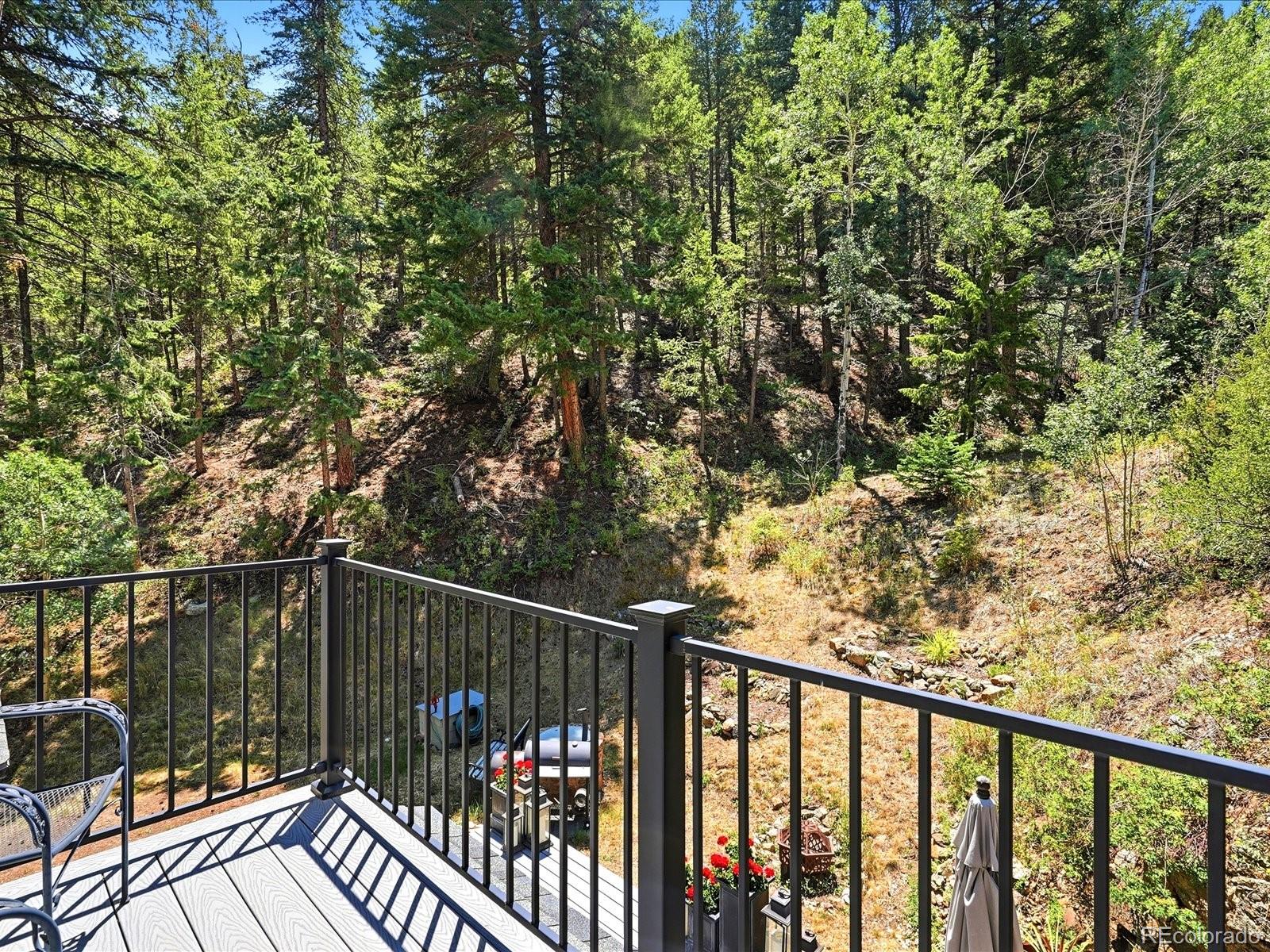 MLS Image #27 for 410 e idaho springs road,idaho springs, Colorado