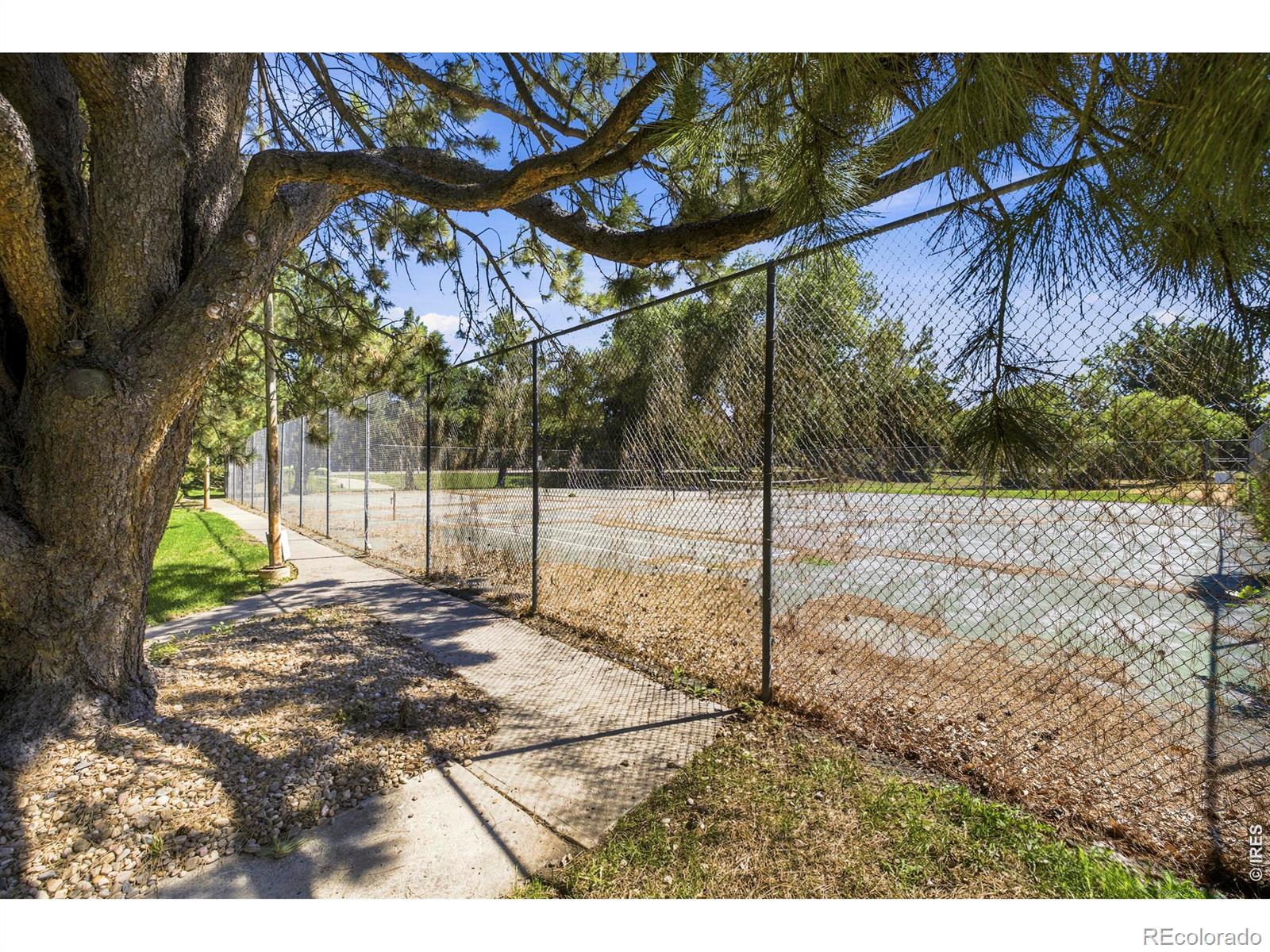 MLS Image #18 for 925  columbia road,fort collins, Colorado