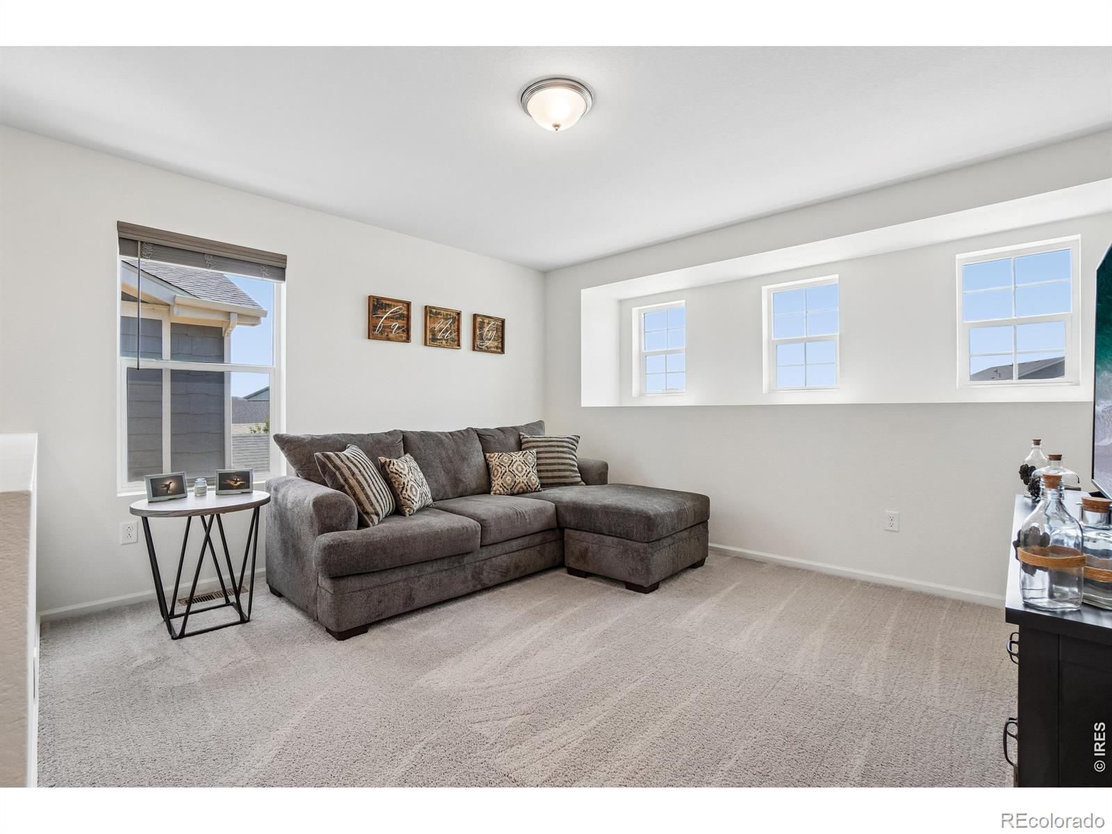MLS Image #16 for 4109  chasm lake drive,loveland, Colorado