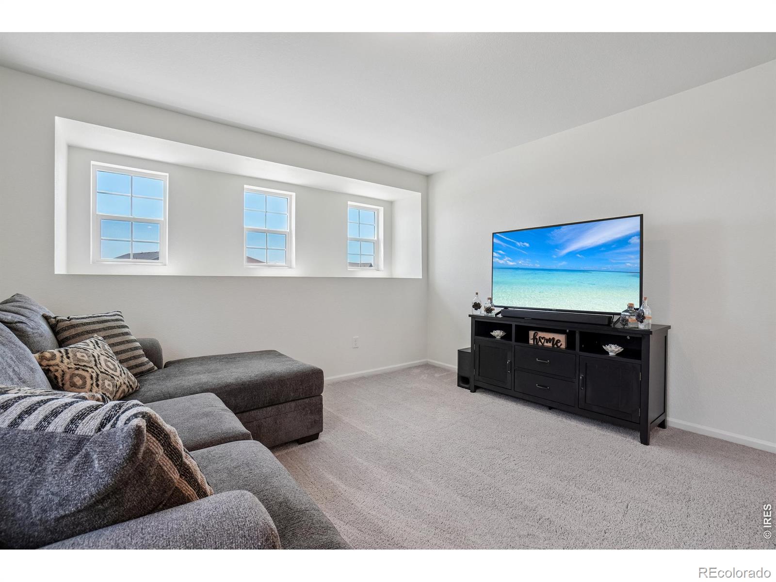 MLS Image #17 for 4109  chasm lake drive,loveland, Colorado