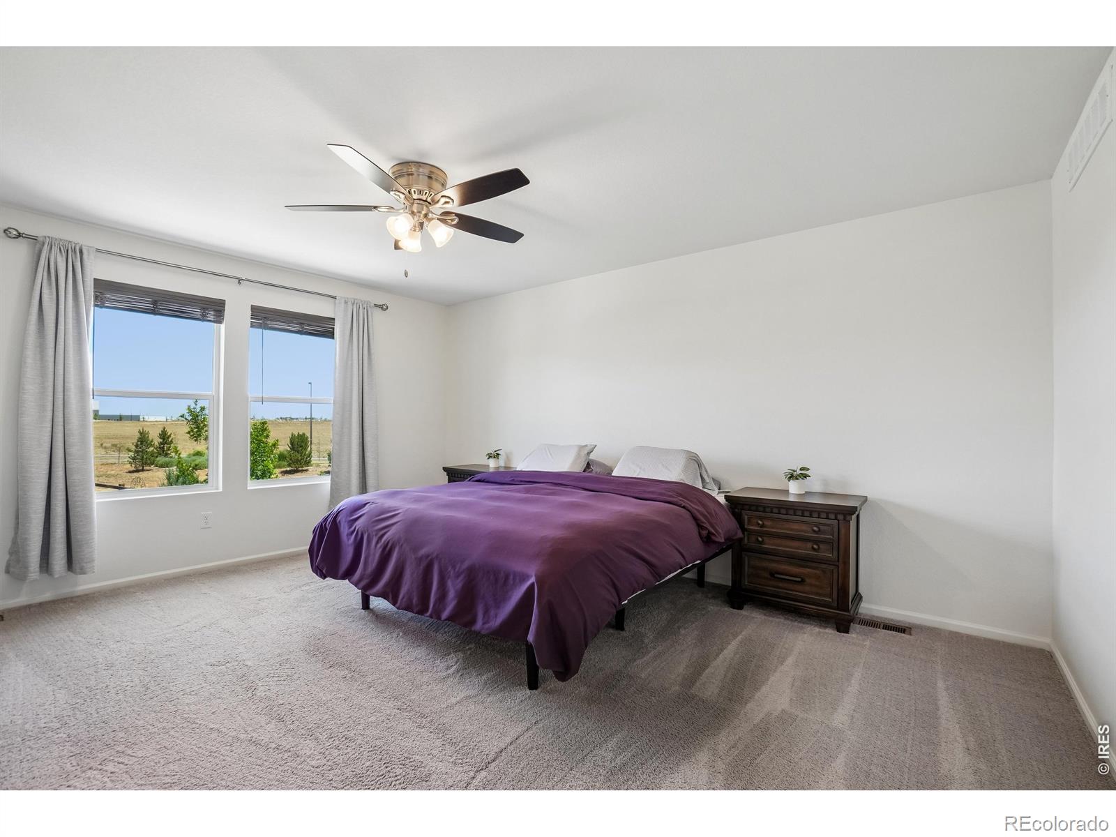 MLS Image #18 for 4109  chasm lake drive,loveland, Colorado