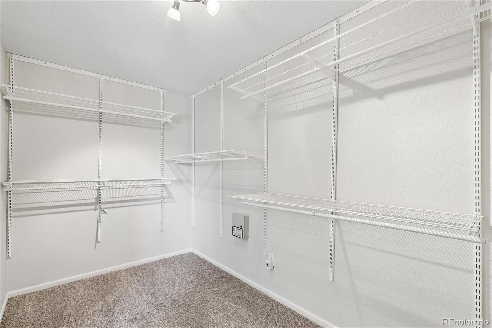 MLS Image #15 for 9849  chatswood trail,highlands ranch, Colorado