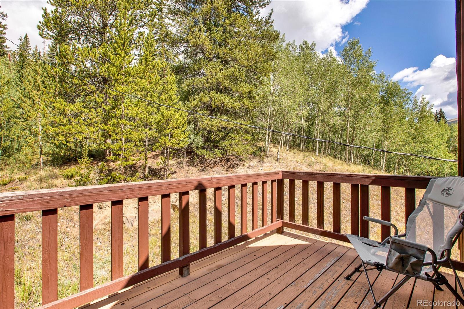MLS Image #10 for 2399  co rd 6 ,alma, Colorado