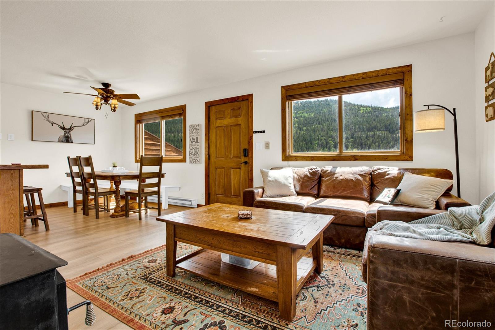 MLS Image #19 for 2399  co rd 6 ,alma, Colorado