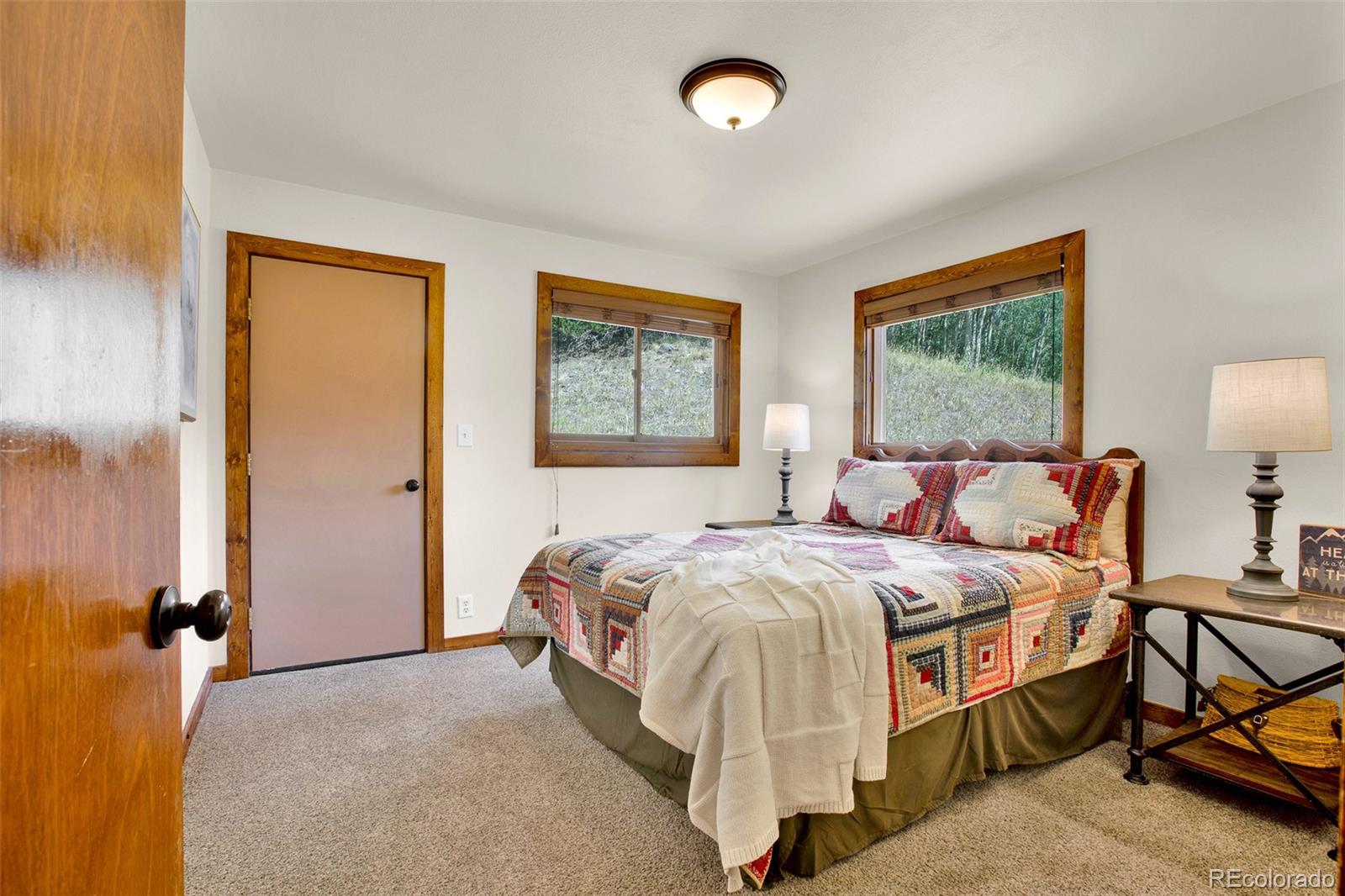 MLS Image #23 for 2399  co rd 6 ,alma, Colorado